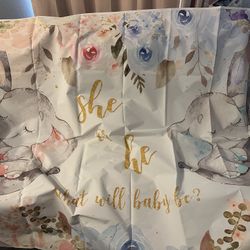 Gender Reveal Banner 