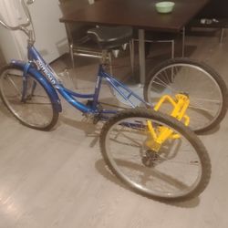 Trike For Sale Project Bike