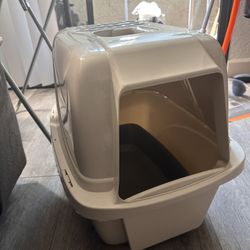 cat litter small