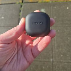 Samsung Buds 2 OEM Case Only