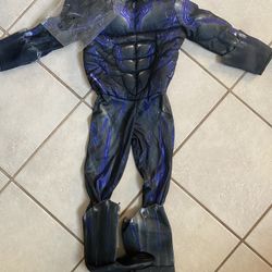 Black Panther Costume With Mask