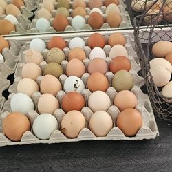 Fresh  Organic  Eggs
