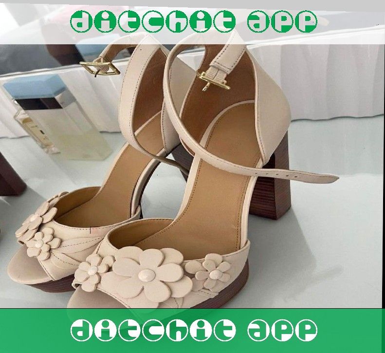 Event Fashion Shine with Sophisticated and Modern Styles drive law