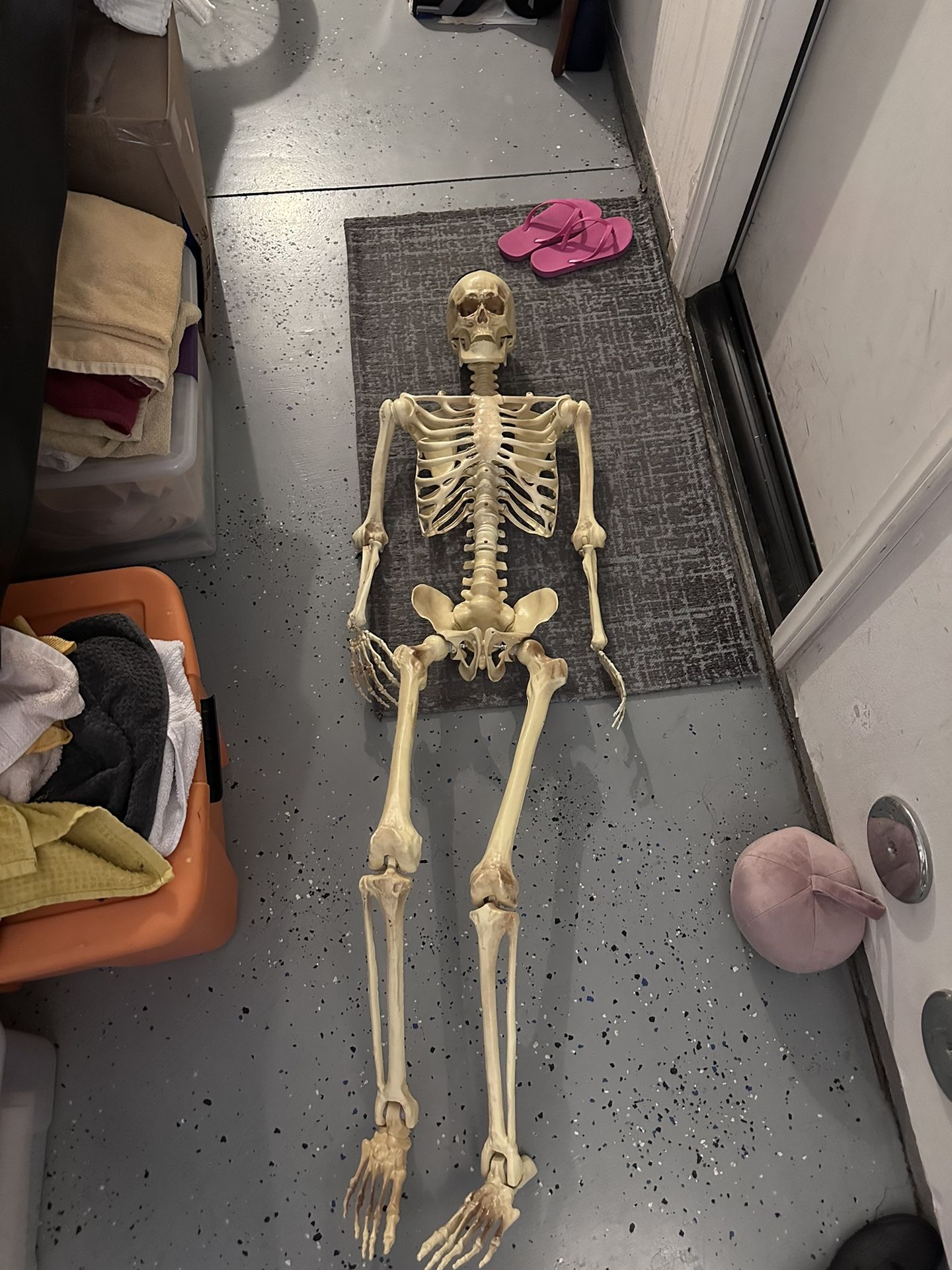 Skeleton