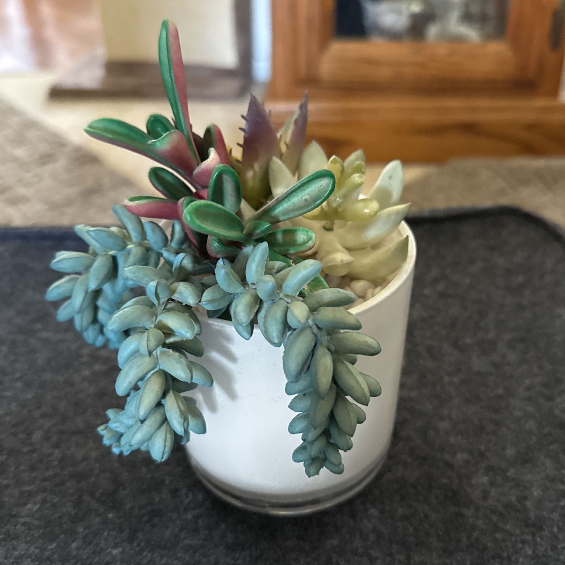 Fake plant very cute