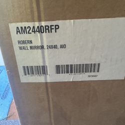 Robern Wall Mirror 24 x40, AIO 