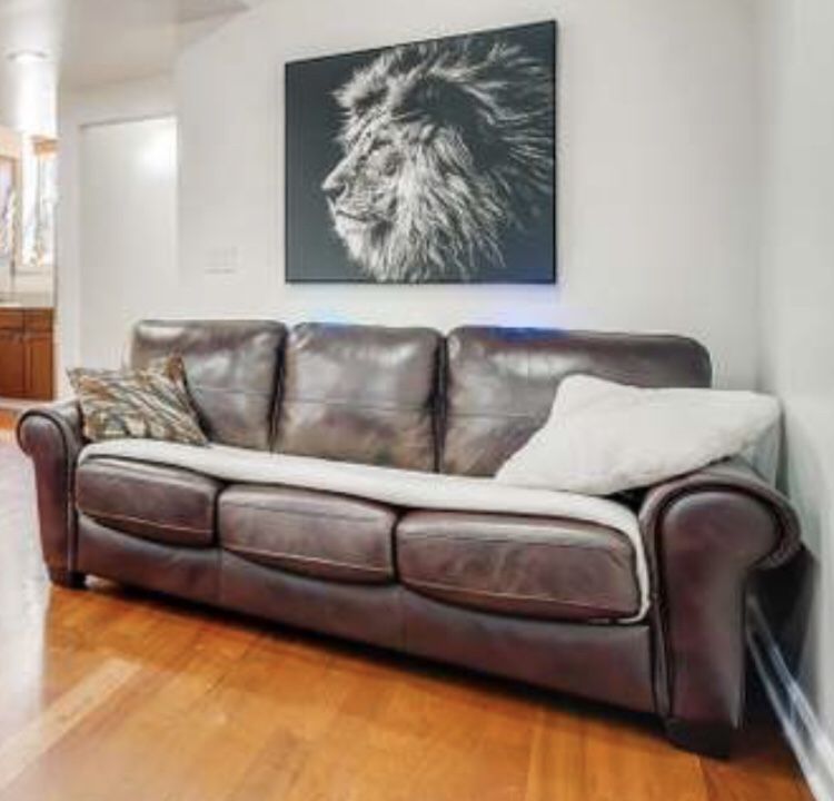 Geniune Leather Couch (pull out w/ full bed)