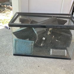 Free Turtle And Fish Tank