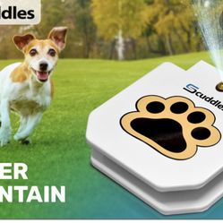 Dog Water Fountain Boxer Or Active Dogs 