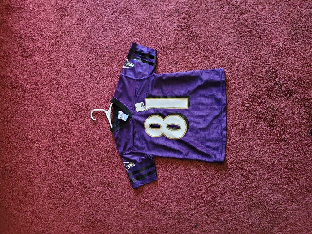 Ravens Anquan Boldin Jersey