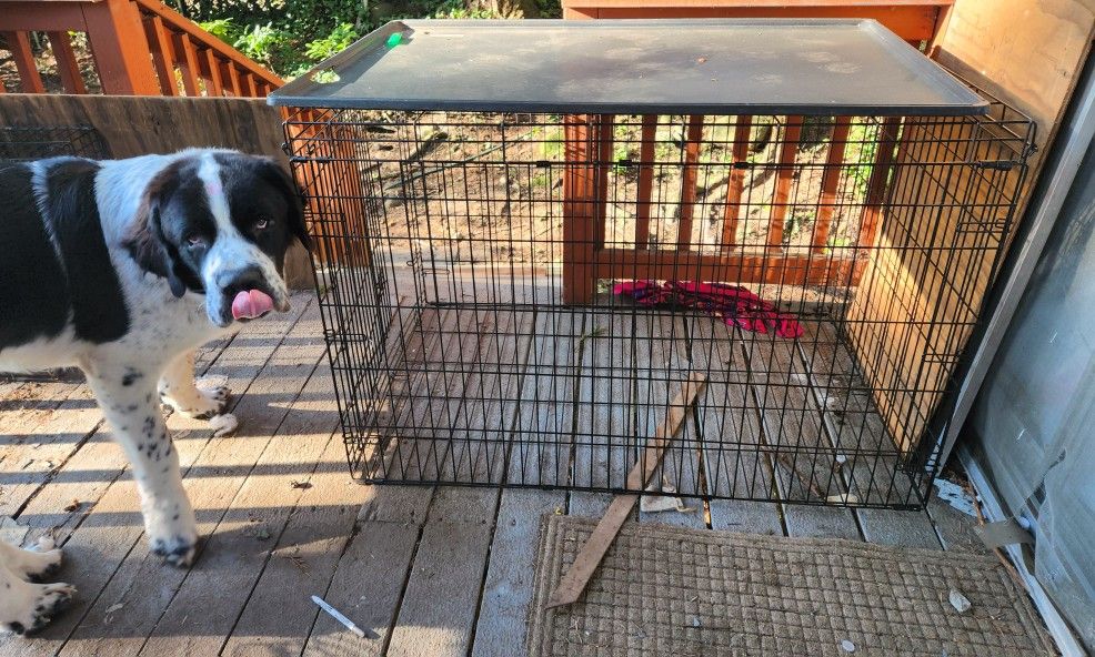 XL Great Choice Dog Crate.