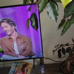 55 In Smart Tv