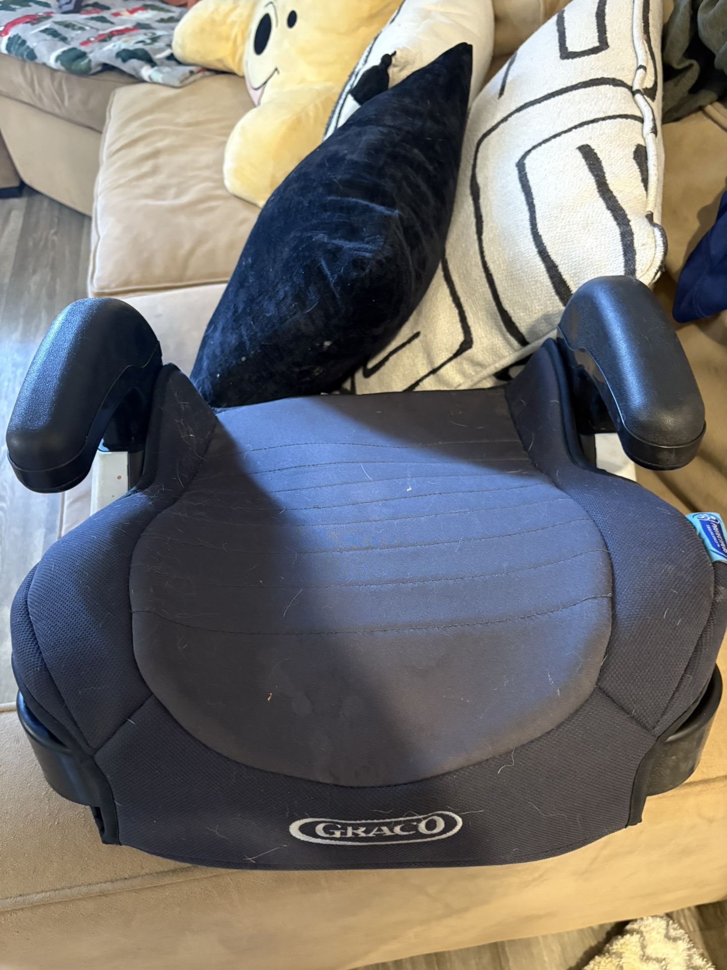 Graco Booster Seat