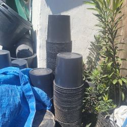 Botes Nuevos 5 G