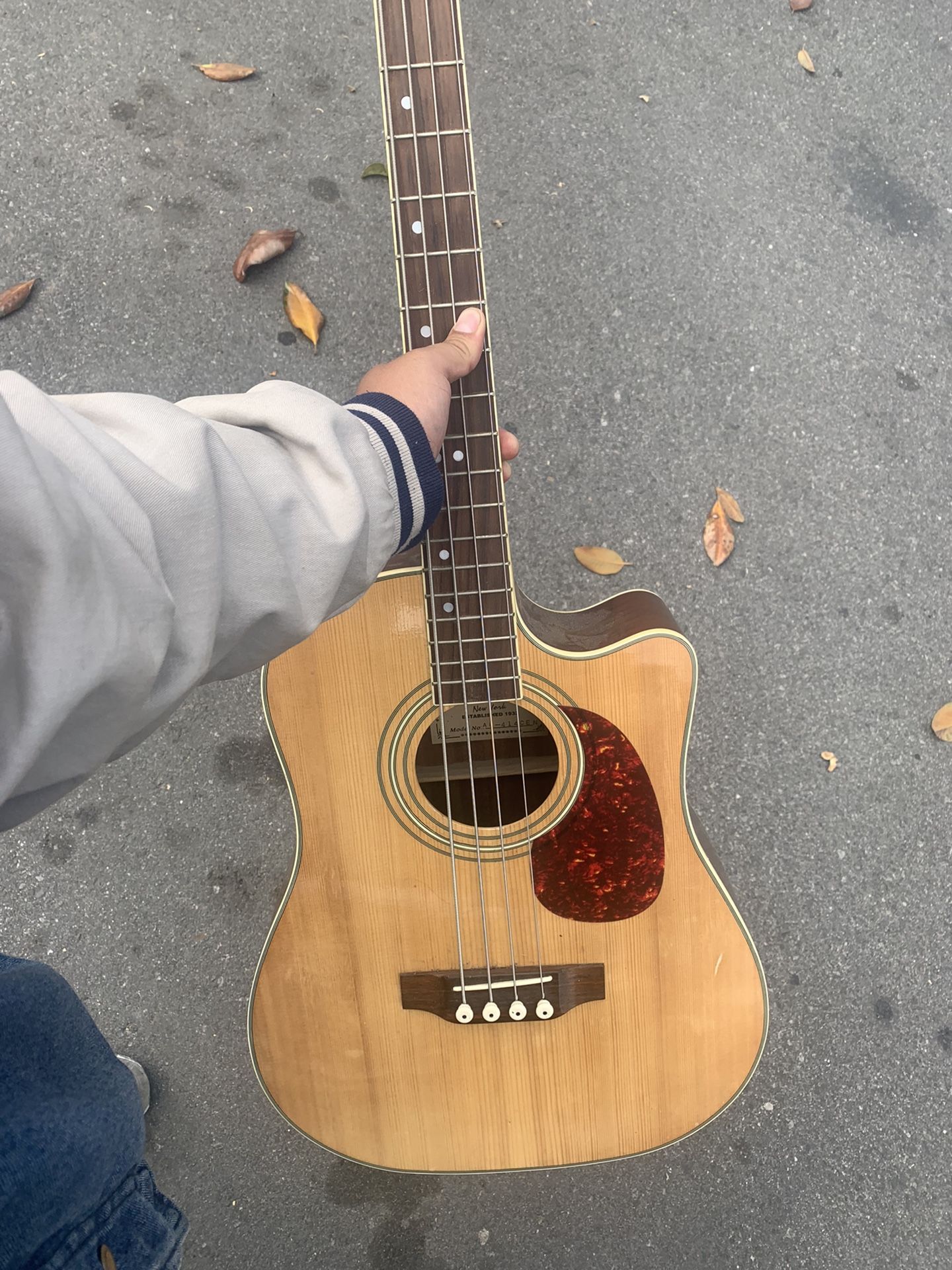 gold-tone-microbass-acoustic-  Acoustic Bass 