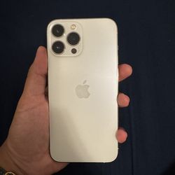 iPhone 13 Pro Max 1000GB Unlocked