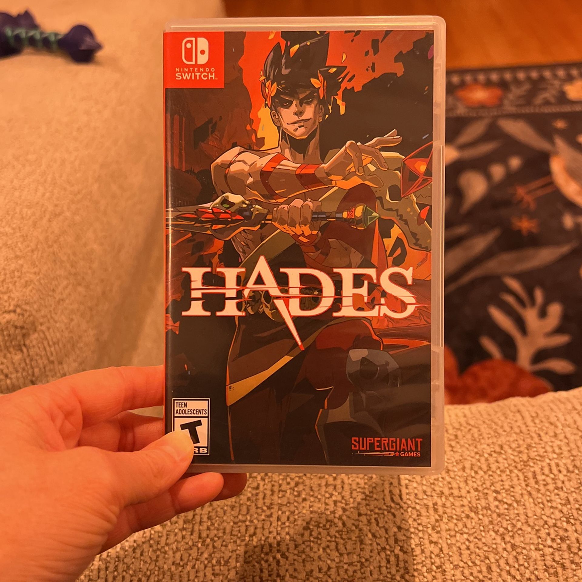 Hades Nintendo Switch Game