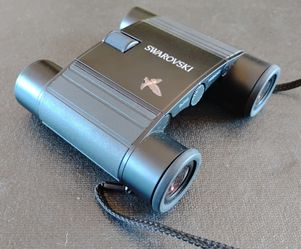 Swarovski 8x20 Binoculars