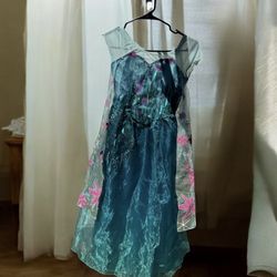 Elsa Frozen Dress original 