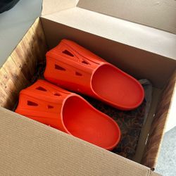 Anaheim Duck Clogs 