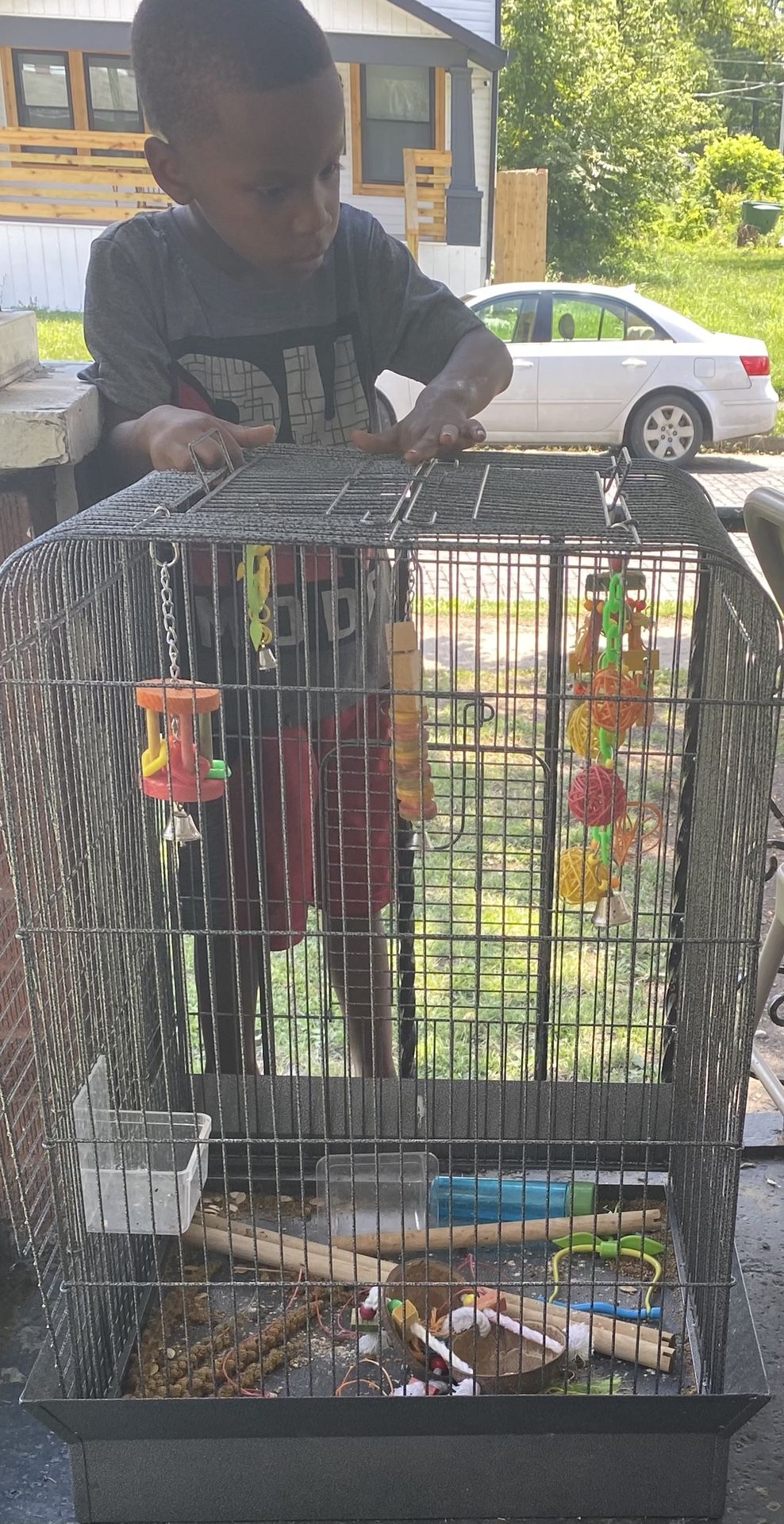 Dirty Bird Cage 4 The Low