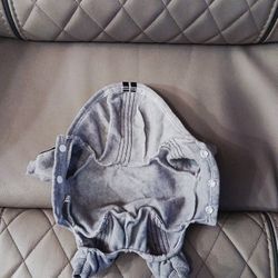 Cute, Funny Dog Outfits