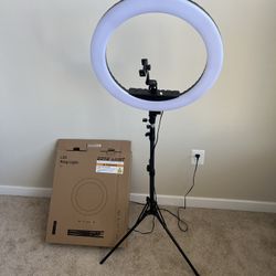 21” LED Ring Light With Tripod Stand