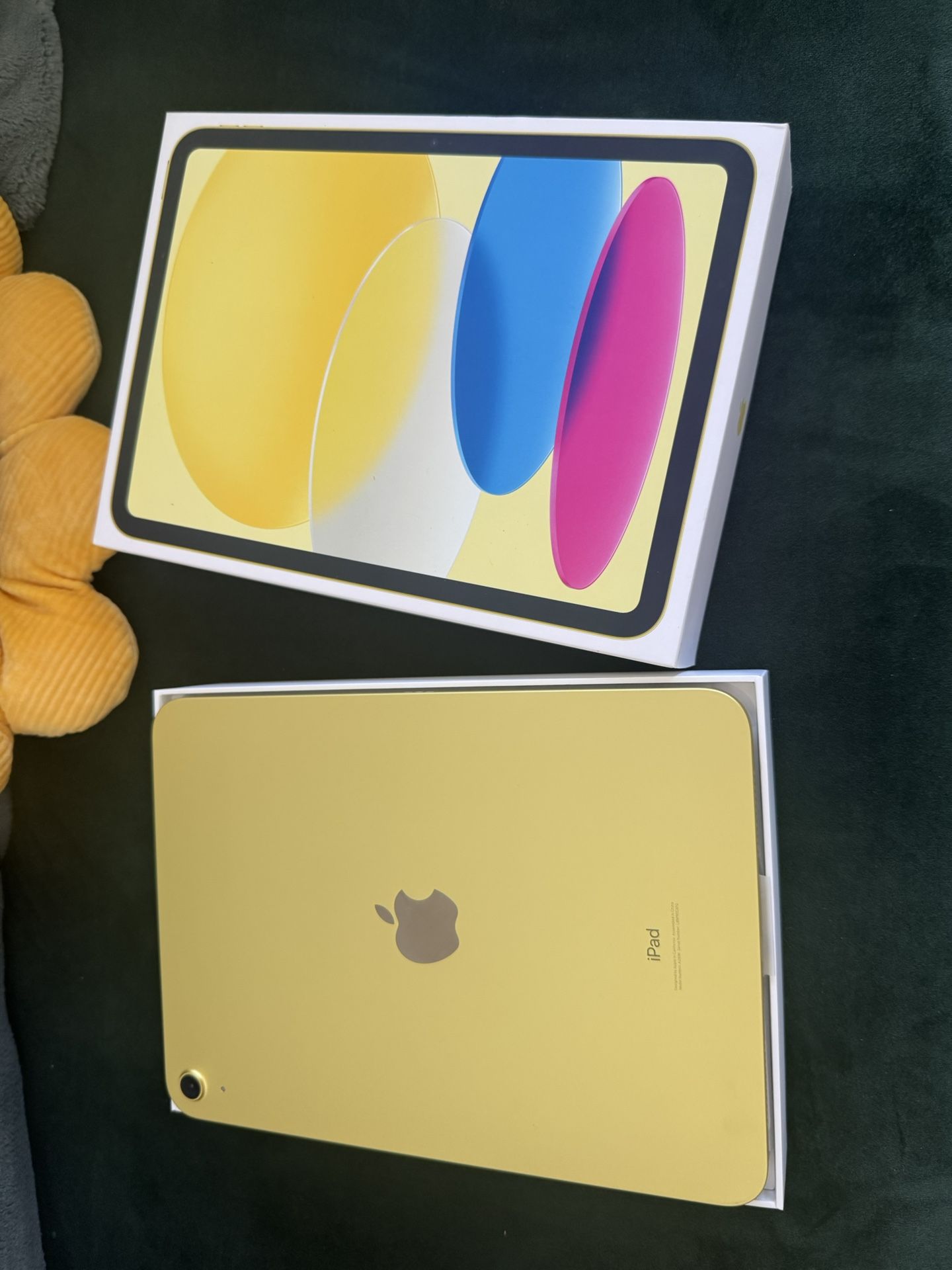 iPad