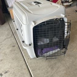 Travel Dog Crate 