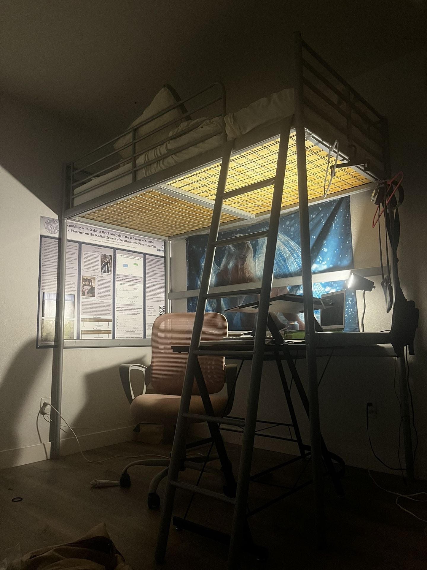 Loft Bed For Sale