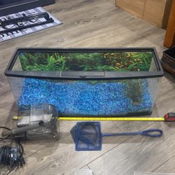 Fish Tank 