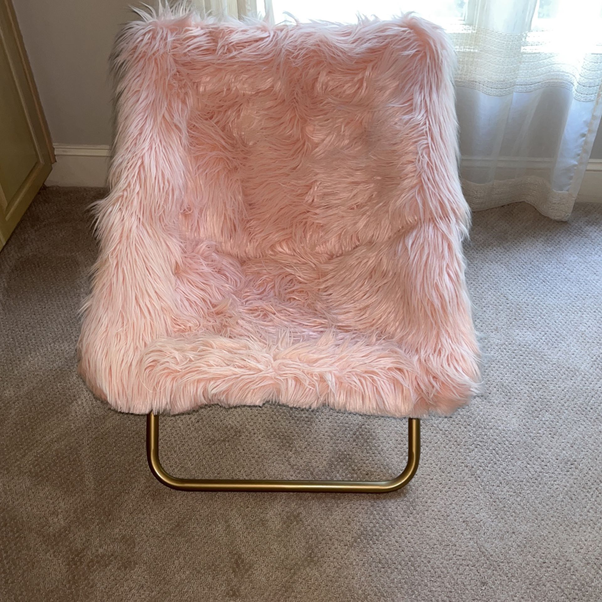 Pottery Barn Teen Hang-A-Round Chair Pink