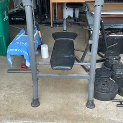 Weight Set, Weight Stand & Adjustable Bench