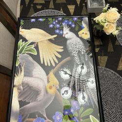 1000 Piece Bird puzzle put into frame