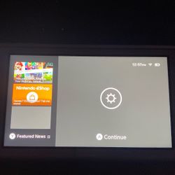 Grey Nintendo Switch Lite