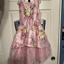 Girls Size 8-10 Dress (104th Ave & Olive)