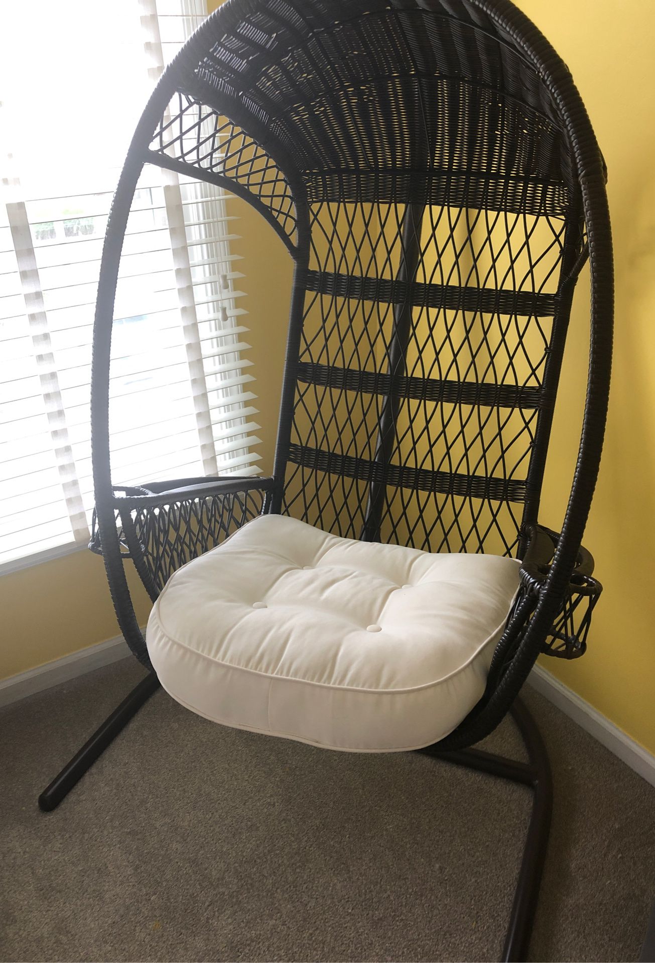 Pier 1 Imports Hanging Chair