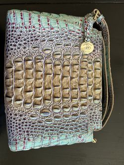 Brahmin Ombré Purse