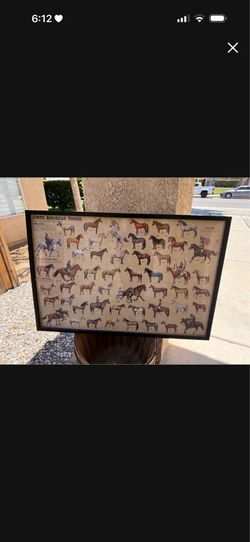 Horse frame