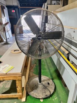 Fan