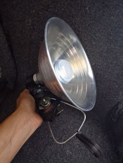 Reptil Light