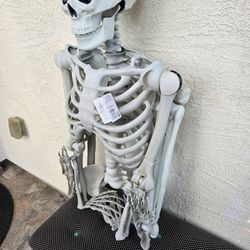 7ft Posable Skeleton / Halloween Decor / Halloween Decorations