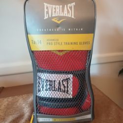 Everlast Boxing Gloves