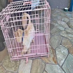 then meet Tough Metal Dog Crates - Dependable and Secure