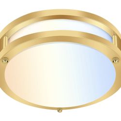 13 Inch LED Ceiling Light 