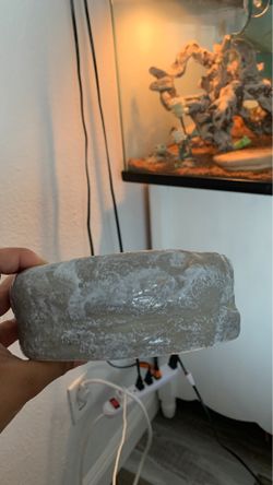 Reptile or small animal bowl