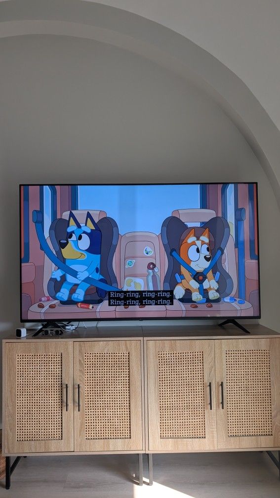 65" LG LED TV