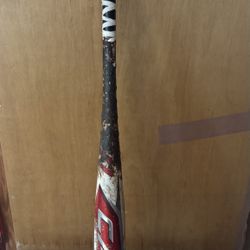 Cat X Baseball Bat