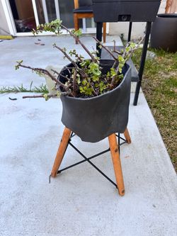 Handmade ceramic and wood planter