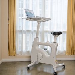Flexispot Exercise Bike 3-1